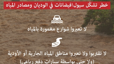 WhatsApp Image 3.jpeg